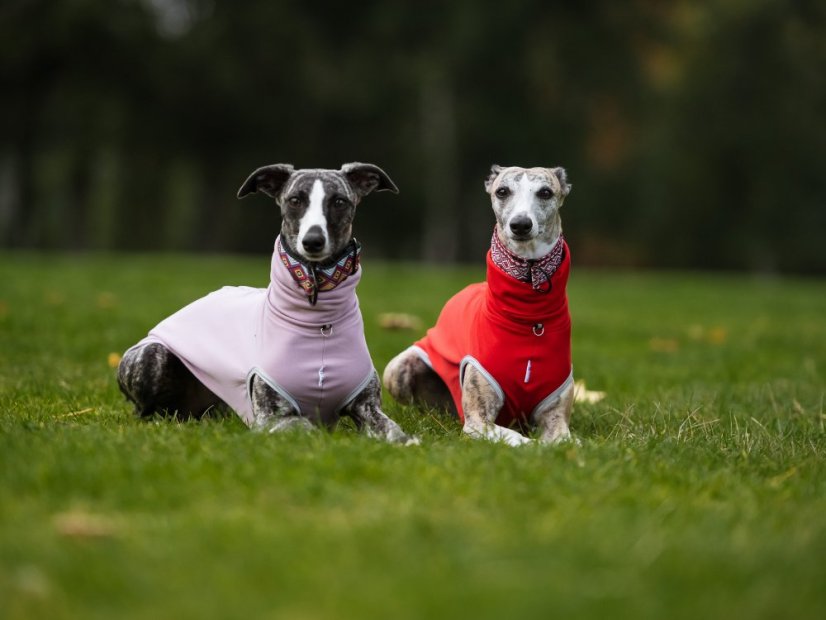 Lehká mikina pro psa French Terry