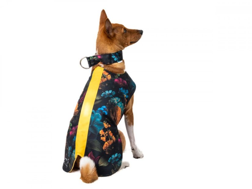 Basenji light RAIN COVER