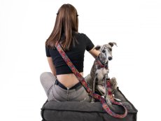 Sada INDY obojek s vodítkem 2m