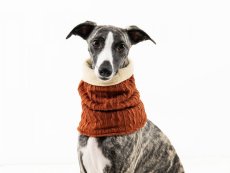 Nákrčník pro psy s fleecem