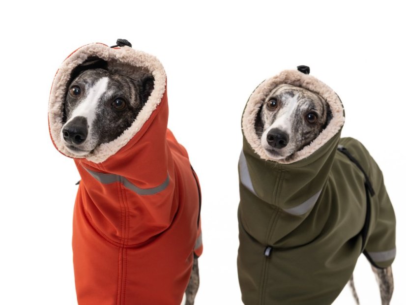 TerraLuxe Softshell Winter – zimní bunda s béžovým beránkem pro psy