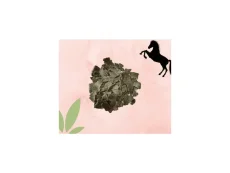 Konopné pokrutiny, 1 kg