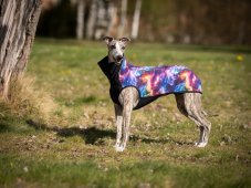 GALAXY SHIELD FLEX HOODIE - softshellová mikina pro psy