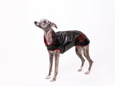 Sport jacket ZODIAC