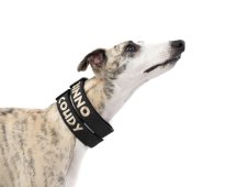 Personalizovaný outdoorový obojok s plastovou prackou a výšivkou mena