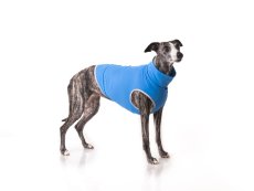 Blue – Funkční triko pro psy (Carvico®)