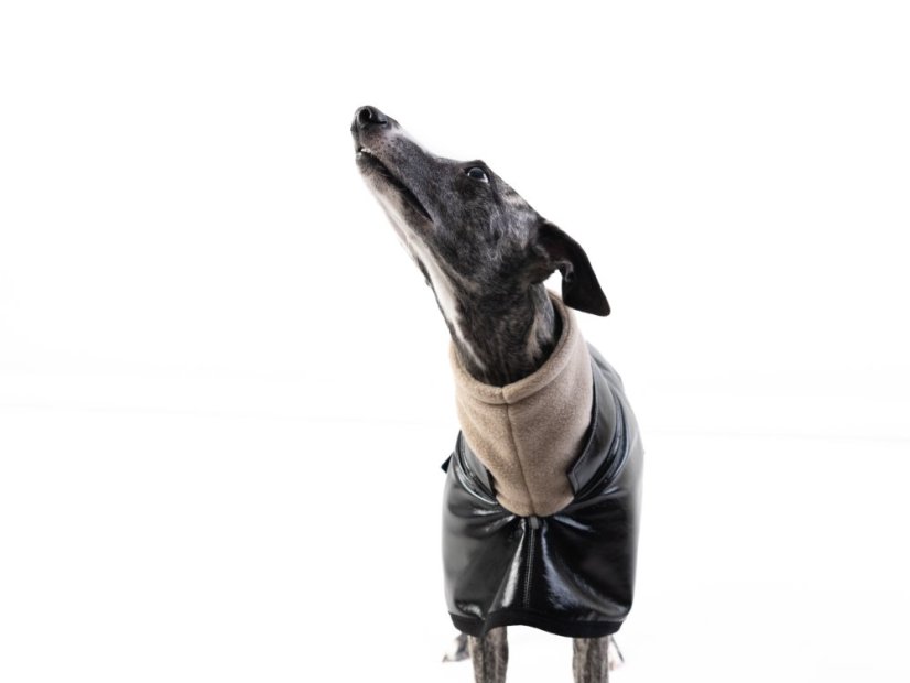 Elegantní sportovní bunda pro psa – odolná a hřejivá ochrana