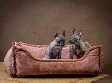 Pelech ROSA hranatý pro psy s ortopedickou výplní