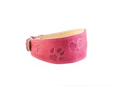 Padded Leather Sighthound Collar with Paw Motif