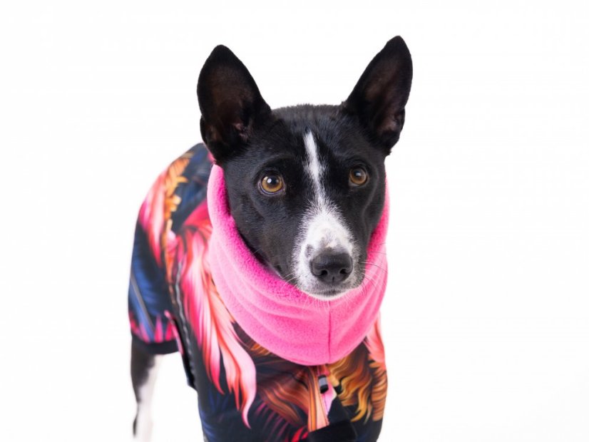 Basenji CODURA LISTY bunda podšitá