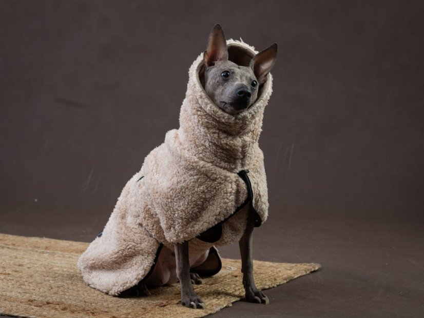 SHERPA TAIL-UP COAT – beránková bunda pro psy s ocáskem nahoru