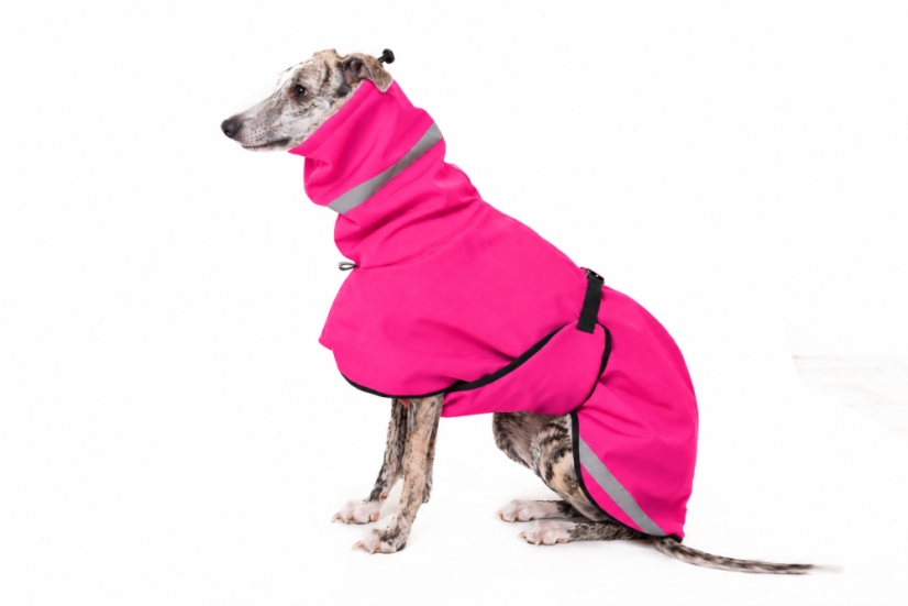 Zimní bunda pro psy – VIVID Softshell Winter