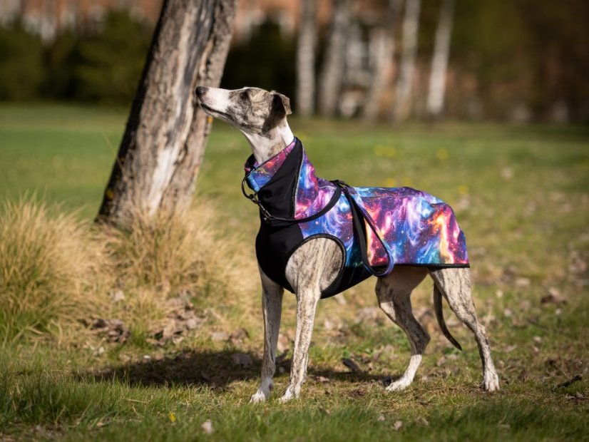 GALAXY SHIELD FLEX HOODIE - softshellová mikina pro psy