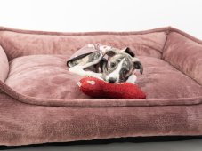 Rectangular ROSA dog bed with orthopedic filling