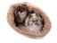 COMFORT Snuggle Sack for Dogs