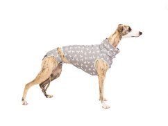Elegant Greyhound Set – Grace & Style SM