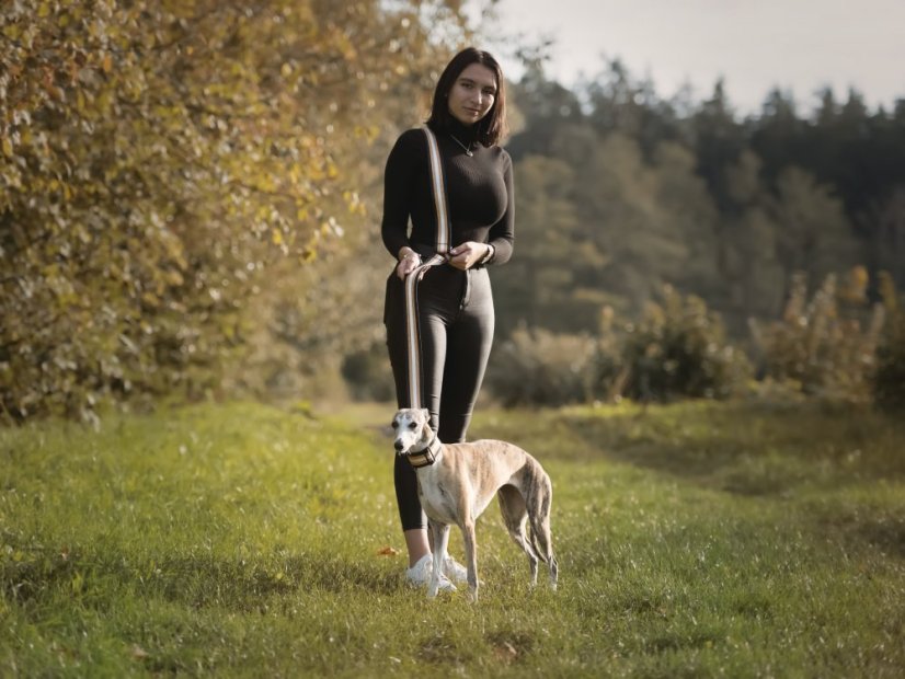 Designové vodítko s obojkem reflex