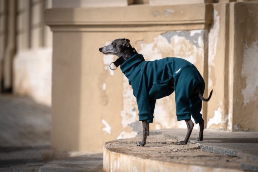 FLEX COTTON SUIT – overal pro psy