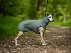 Prémiový svetr pro psy – MERINO WARM