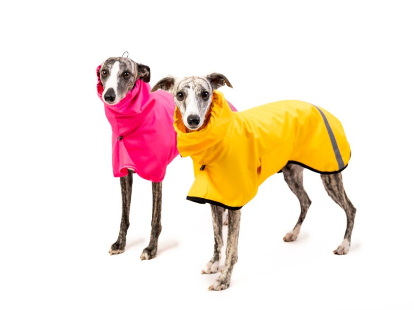 Codura® RainPawtector