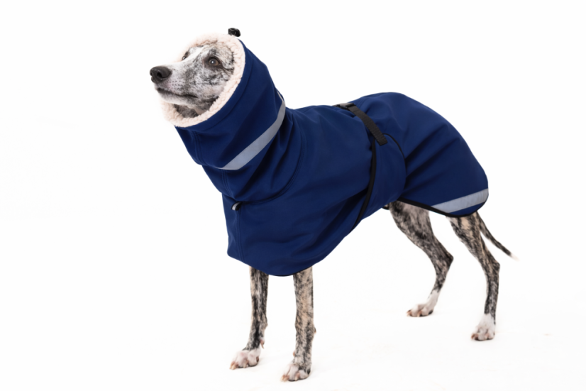 TerraLuxe Softshell Winter – zimní bunda s béžovým beránkem pro psy