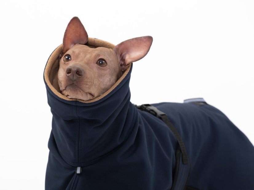 Arctic Tail Shell – zimní bunda pro psy s ocáskem nahoru