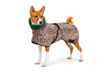 AFRICA LEOPARD – zimná softshell bunda pre psov s chvostom nahor