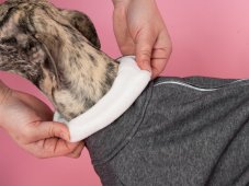 TailUp UrbanWarm ZARYA – warm dog jumpsuit for dogs with tail up