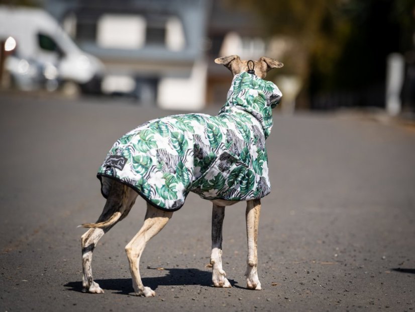 Africa Hibiscus – softshell pláštěnka pro psy