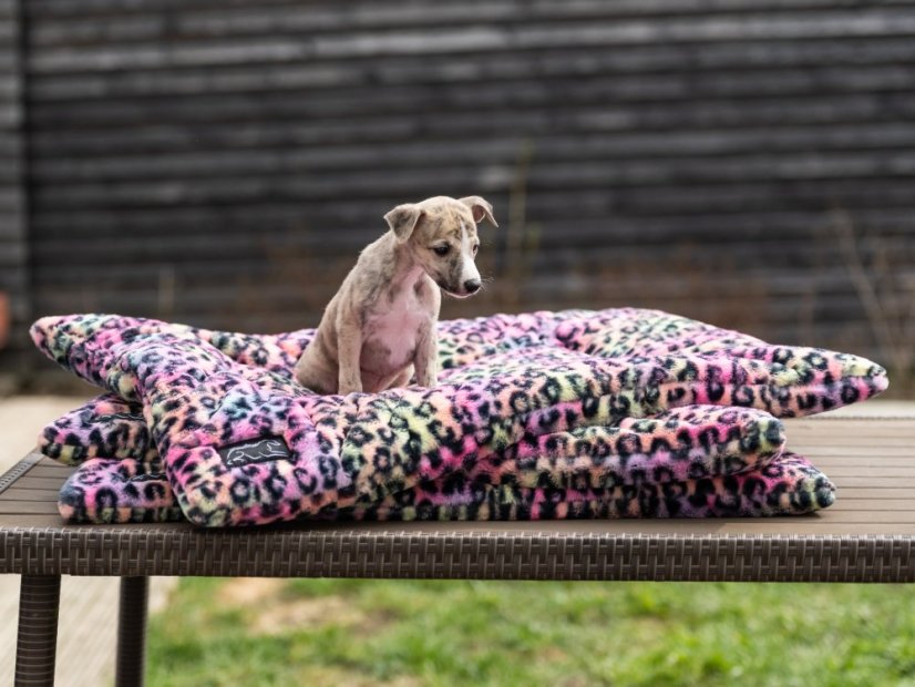 NEON LEOPARD SOFT – plyšová deka pro psy