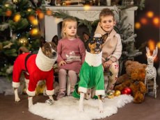 Vánoční  MIKINA pro pejsky s ocáskem nahoru