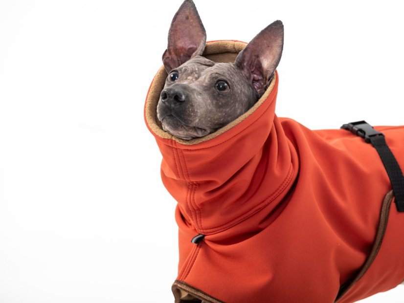 Arctic Tail Shell – zimní bunda pro psy s ocáskem nahoru