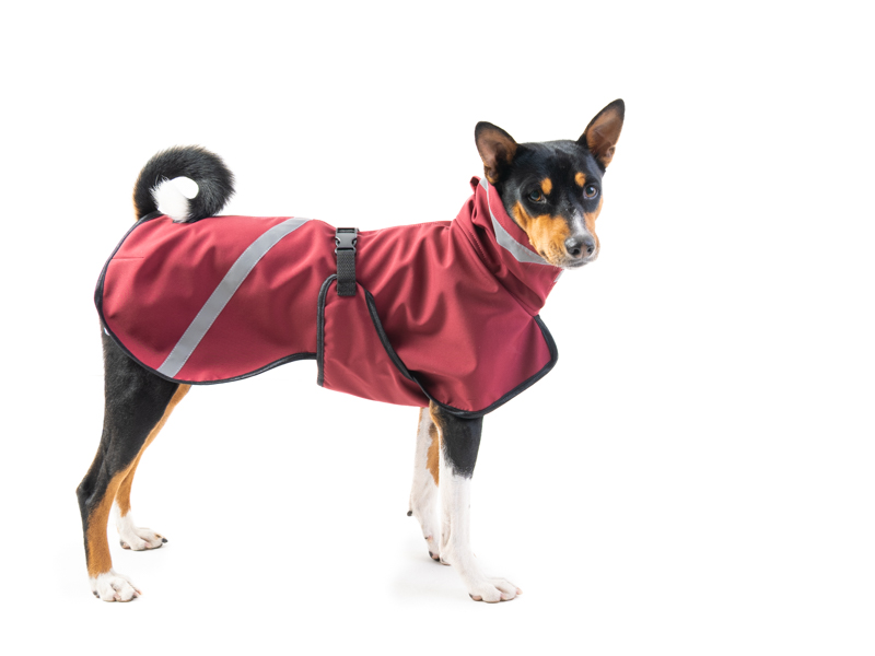 TAIL Comfort Softshell – Funkční pláštěnka pro psy s ocáskem nahoru