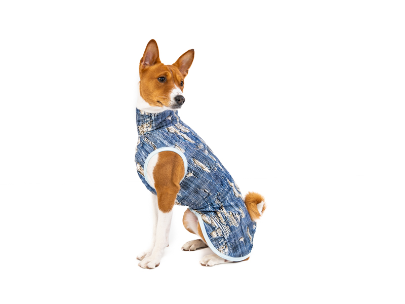 Blue Jeans – Lightweight Dog Hoodie (Tail Up)