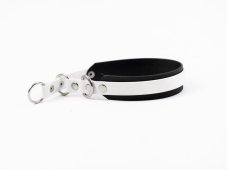 Semi-retractable waterproof collar BW– A practical and durable companion!
