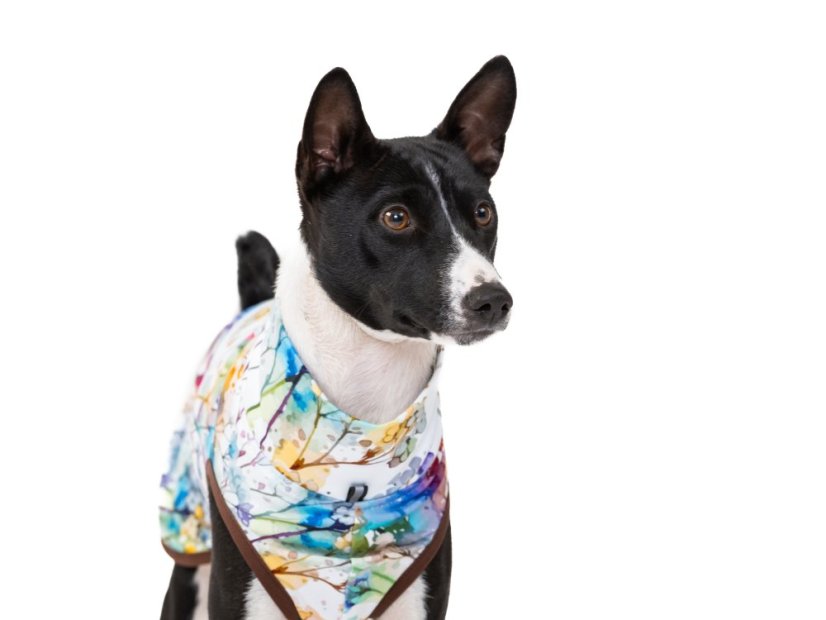 Active Fit – mikina pro psy s ocáskem nahoru