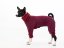 Basenji  warmkeeper OVERAL