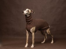 Merino dog sweater – 100% MERINO | MUST HAVE 2026