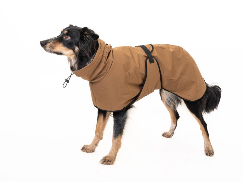 Minimalistická bunda pro psy