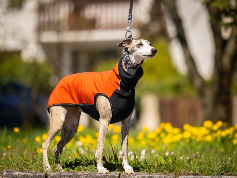 RAIN ARMOR FLEX HOODIE - softshellová mikina pro psy