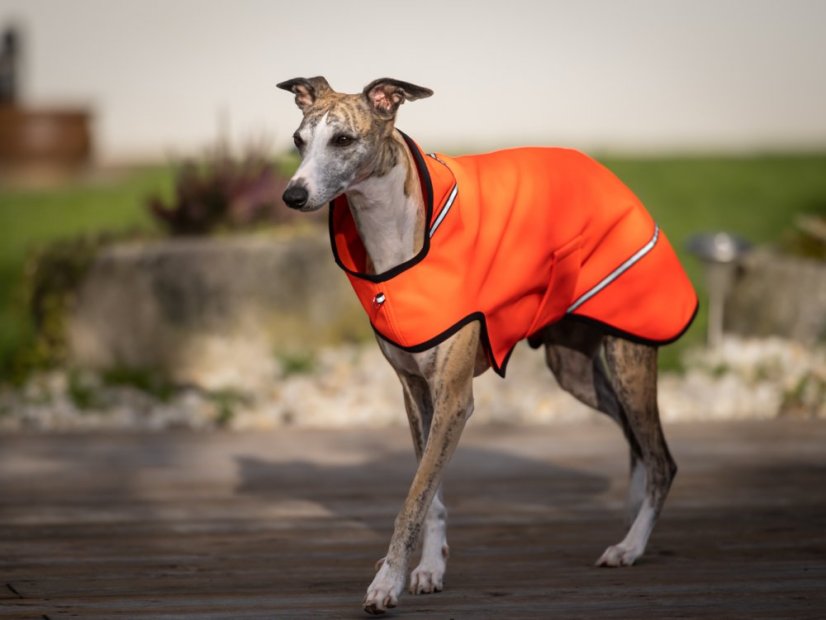 Softshell ActiveFit bunda pro psy