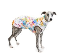 Active Fit mikina z pružné teplákoviny – ideální na vrstvení