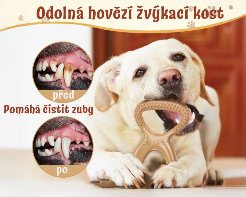 ZARYA ToughChew – odolná psí hračka na žvýkání, čištění zubů a trénink