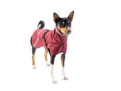 Basenji Arctic Shell – Funkční zimní bunda pro psy s ocáskem nahoru