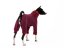 Basenji  warmkeeper OVERAL