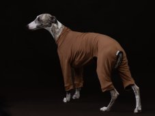 Bamboo Overall – a healthy “second skin” for dogs