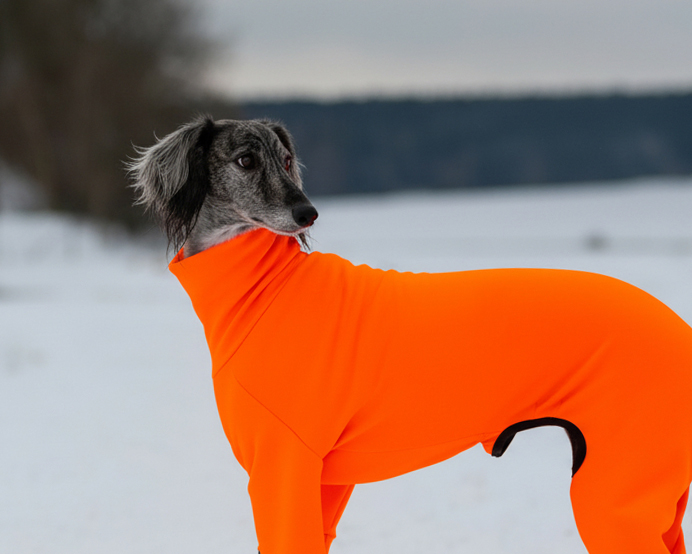 ZARYA ThermoFlex | sportovní funkční overal pro psy
