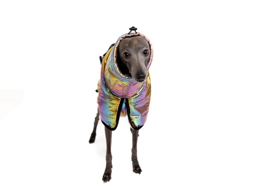 THERMOCOAT CHROMA – zimní bunda pro psa