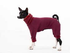 Basenji  warmkeeper OVERAL