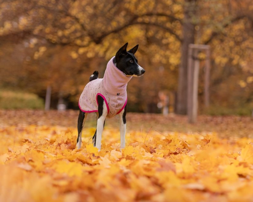 Warmkeeper Love Edition – pro psy s ocáskem nahoru